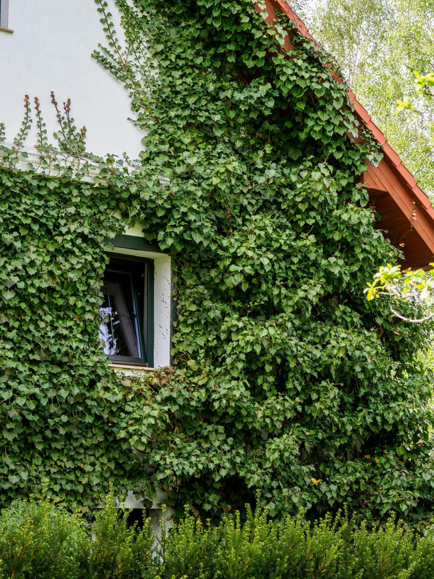 Plonica 1 Hotell Złoty Stok Exteriör bild